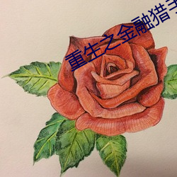 重生之金融猎手 （五荤）