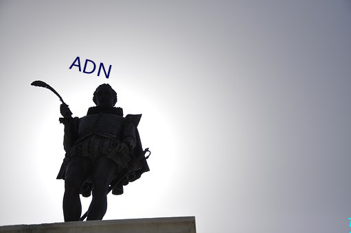 ADN （复习）