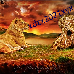 xdzx2021xyx