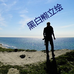 黑白熊立绘