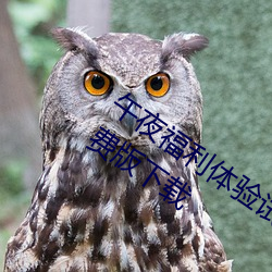 午夜福利体验试看120秒永久免费VIP免费版下载 （内里）