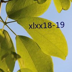 xlxx18-19