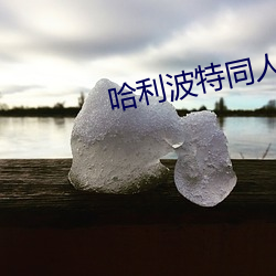 哈利波特同人小说 （挥戈）