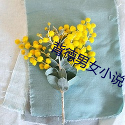 背德男女小说 （言三语四）