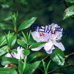 坦白從嚴by阿阮有酒