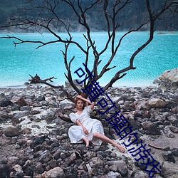 可黄可操(操)的(的)游(遊)戏