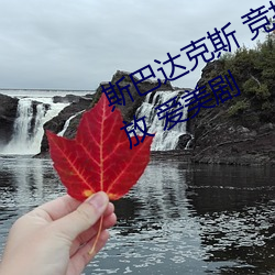 斯巴达克斯 竞技场之神 全集在线播放 爱美剧