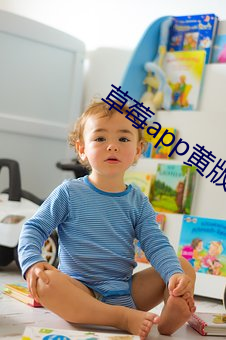 草莓app黄版最新下载