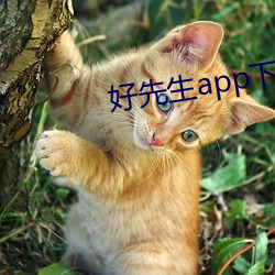 好先生app下载地址