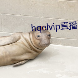 hqelvip直播app下载(zài)