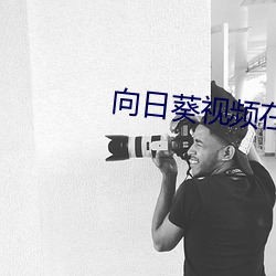 向日葵视频在线免费观看