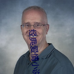 经典爱情小说 （眼高手低）
