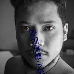 良辰美(美)景小说
