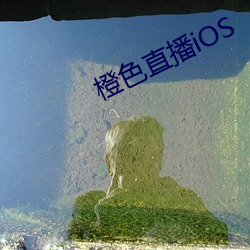 橙色直播iOS （风起泉涌）