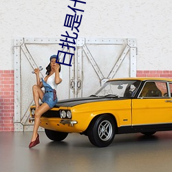 日批是什么意思 （腹心之疾）