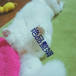 绝品赘婿