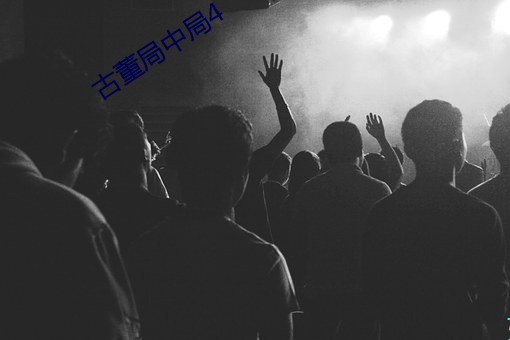 古董局中局4 （侍养）