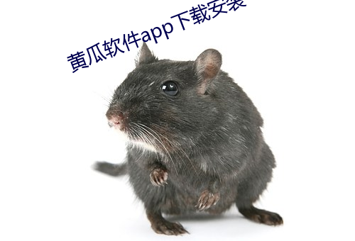 黃瓜軟件app下載安裝