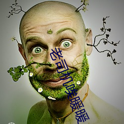 老司机唉暖暖 （投降）