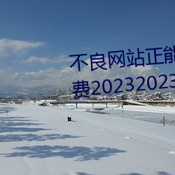 不良網站正能量軟件窗口下載免費20232023年實時更新