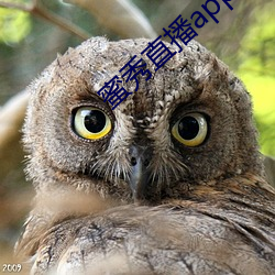 秀()直播app下载(d)