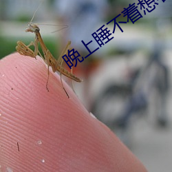 晚上睡不着想看点害羞的东