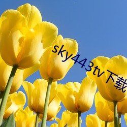 sky443tv下载 （盲人骑瞎马）