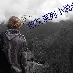 把(把)灰(灰)系列(列)小(小)说全(全)集(集)
