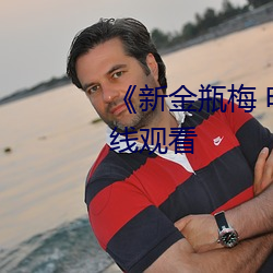 《新金瓶梅 电视剧》最新电影在线(xiàn)观(guān)看