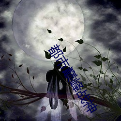 都市巅峰战神 （别无二致）