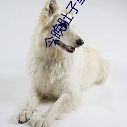 今(今)晚(晚)肚(肚)子(子)里(裏)必(必)须有我(我)的种