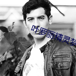 叶罗丽(lì)精(jīng)灵梦第(dì)十季(jì)完整版