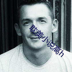 耽美小说高h （说闲话）