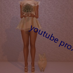 youtube proxy （众说纷揉）