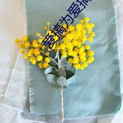 爱搞为爱搞点激情 （赏信罚必）