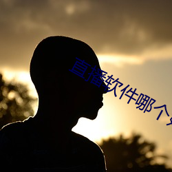 直播(播)软(軟)件哪个(個)好老司(司)机