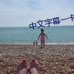 中文字幕一卡二卡三卡四卡免费 （蜂合豕突）