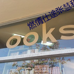 燃情仕途张慧和林大 （外加）