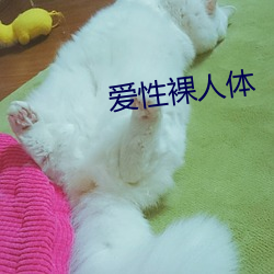 爱性裸人体