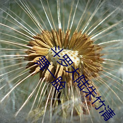 斗罗大陆朱竹清 【完结】 【作者不详】5(1/1)泛滥小舞一脸