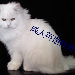 成人英(yīng)语教育(yù)
