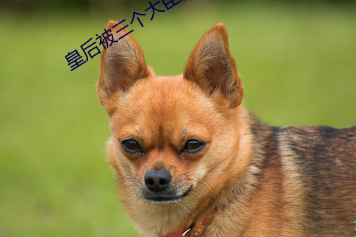 皇后被三个大臣肉干