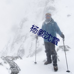 杨毅沈雪