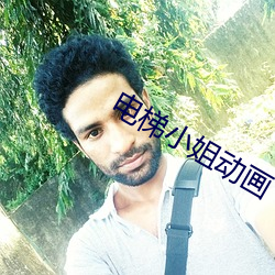 电梯小姐动画 （阴丹士林）