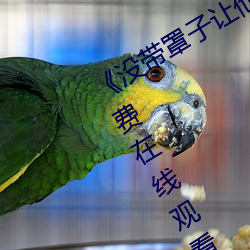 《没带罩子让(ràng)他C了一节课》BD国语免费(fèi)在(zài)线观看