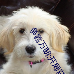 争霸万朝:开局获得赵云模板