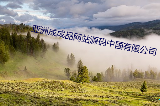 亞洲成成品網站源碼中國有限公司