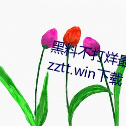 黑料不打烊最新官網地址:zztt.winzztt.win下載 v2.5.5