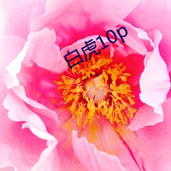 白虎10p