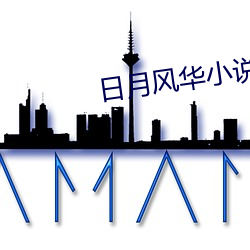 日月风华小说